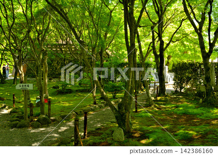 Kyoto, Sagano, Adashino Nenbutsu-ji Temple Kyoto, Sagano, Adashino Nenbutsu-ji Temple 142386160