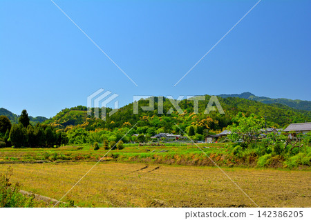 Kyoto / Sagano 142386205