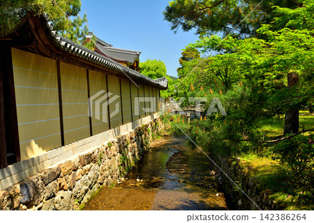 大覺寺,嵯峨野,京都 大覺寺,嵯峨野,京都 142386264