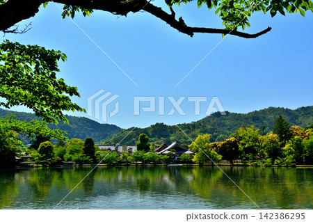 大覺寺，嵯峨野，京都 142386295