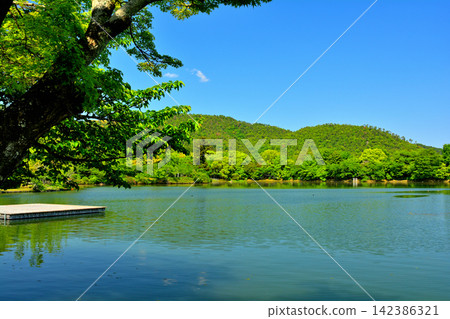 大覺寺，嵯峨野，京都 142386321