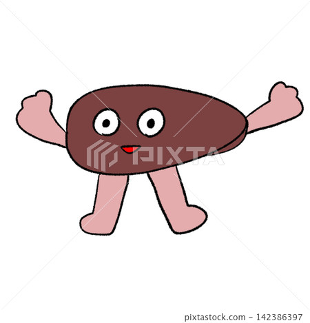 健康肝臟的插圖 健康肝臟的插圖 142386397