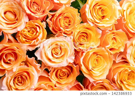 Orange roses, bouquet Orange roses, bouquet 142386933