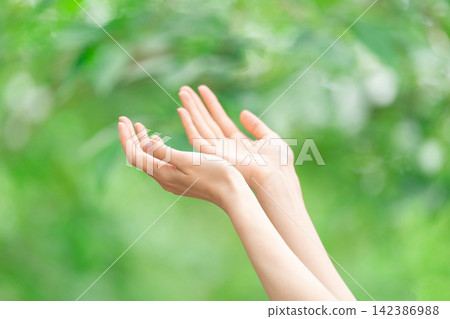 Woman's hands, beauty, fresh green Woman's hands, beauty, fresh green 142386988