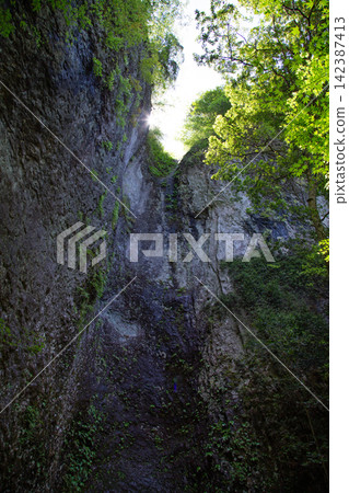 Iwakoya Mountain in early summer: Onnataki Waterfall (Shitara Town, Aichi Prefecture) 142387413