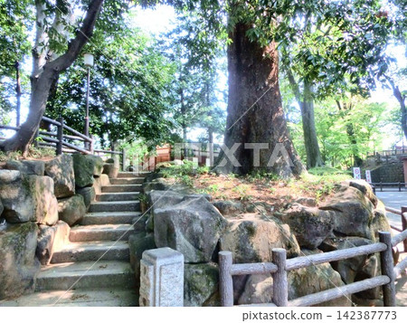 川越大師喜田寺風景 - 14 142387773