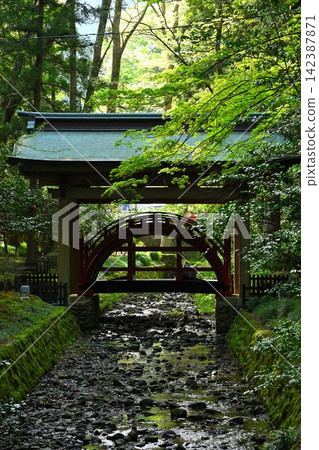 彌彥神社的玉橋,坐落在靜謐的森林中(新潟縣彌彥村) 彌彥神社的玉橋,坐落在靜謐的森林中(新潟縣彌彥村) 142387871