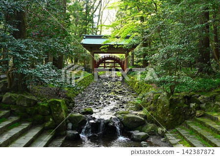彌彥神社的玉橋，坐落在靜謐的森林中（新潟縣彌彥村） 142387872