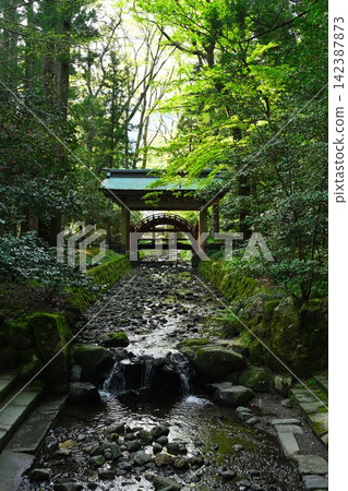 彌彥神社的玉橋,坐落在靜謐的森林中(新潟縣彌彥村) 彌彥神社的玉橋,坐落在靜謐的森林中(新潟縣彌彥村) 142387873