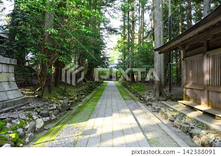 Yahiko Shrine in the morning, bathed in dappled sunlight (Yahiko Village, Niigata Prefecture) Yahiko Shrine in the morning, bathed in dappled sunlight (Yahiko Village, Niigata Prefecture) 142388091