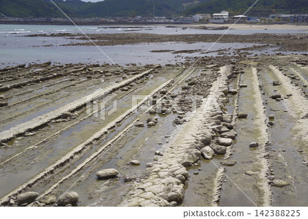 Aoshima and the Devil's Washboard, representative scenic spots of Miyazaki Prefecture Aoshima and the Devil's Washboard, representative scenic spots of Miyazaki Prefecture 142388225