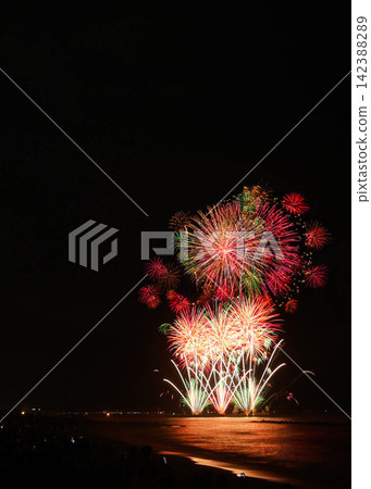 Large fireworks blooming in the summer night sky Large fireworks blooming in the summer night sky 142388289