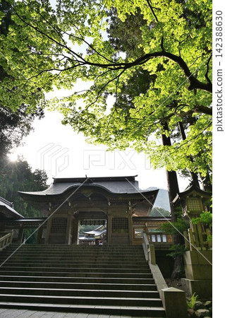 彌彥神社正門,周圍綠樹環繞(新潟縣彌彥村) 彌彥神社正門,周圍綠樹環繞(新潟縣彌彥村) 142388630