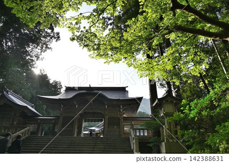 彌彥神社正門,周圍綠樹環繞(新潟縣彌彥村) 彌彥神社正門,周圍綠樹環繞(新潟縣彌彥村) 142388631