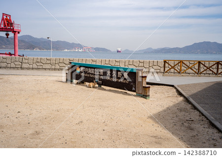 奧久野島渡輪候船區和兔子 奧久野島渡輪候船區和兔子 142388710