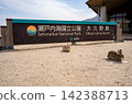 Okunoshima Ferry Waiting Area and Rabbits 142388713