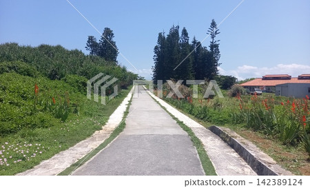 Path in Okinawa Zanpa Cape Park Path in Okinawa Zanpa Cape Park 142389124
