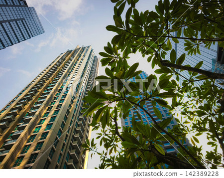 Low-angle view of modern glass skyscrapers and high-rise commercial office towers against the sky in the central business district of Jakarta, Indonesia. Low-angle view of modern glass skyscrapers and high-rise commercial office towers against the sky in the central business district of Jakarta, Indonesia. 142389228