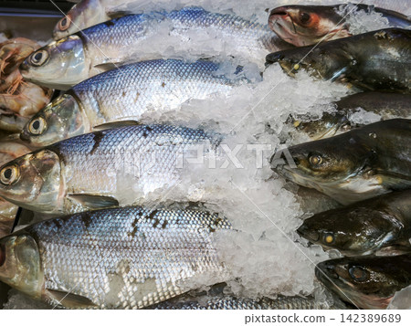 Fresh raw silver whole fish arranged on crushed ice at a seafood market display Fresh raw silver whole fish arranged on crushed ice at a seafood market display 142389689