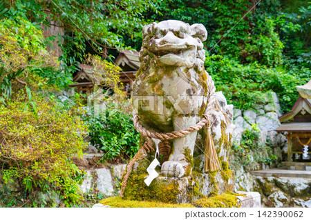 Moss-covered guardian lion-dogs at Takamahiko Shrine in Nara Moss-covered guardian lion-dogs at Takamahiko Shrine in Nara 142390062