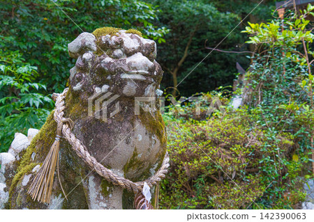 An old, moss-covered guardian lion statue at Takamahiko Shrine in Nara. An old, moss-covered guardian lion statue at Takamahiko Shrine in Nara. 142390063