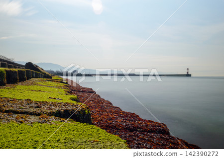 A serene coastal scene featuring a layered green wall overlooking a smooth misty water horizon 142390272