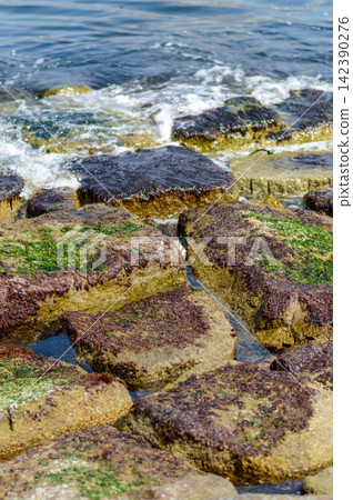 A close-up view of a rocky shoreline with weathered green algae-covered rocks arranged in natural chaos against a dynamic ocean background A close-up view of a rocky shoreline with weathered green algae-covered rocks arranged in natural chaos against a dynamic ocean background 142390276