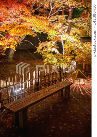 Chair by lantern and autumn garden illumination of Hogonin, Arashiyama Chair by lantern and autumn garden illumination of Hogonin, Arashiyama 142390410