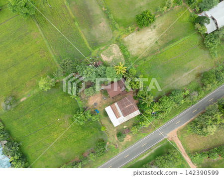 Drone view of farmhouse, rice paddies and country road in farmland. Rural agriculture, food security, transportation and sustainable countryside living. Rural livelihood and sustainable farming. Drone view of farmhouse, rice paddies and country road in farmland. Rural agriculture, food security, transportation and sustainable countryside living. Rural livelihood and sustainable farming. 142390599
