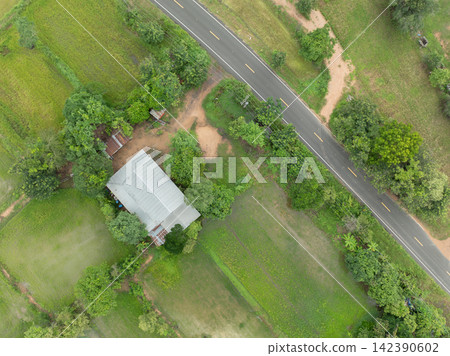Aerial view of rural farmhouse beside paved road and green rice fields during rainy season. Agricultural land, countryside infrastructure and local transportation supporting farming community. Aerial view of rural farmhouse beside paved road and green rice fields during rainy season. Agricultural land, countryside infrastructure and local transportation supporting farming community. 142390602