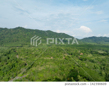 Aerial view of tropical forest and green mountain landscape. Natural carbon storage, biodiversity. Climate resilience and sustainability. Carbon capture, ecosystem conservation, climate action. Aerial view of tropical forest and green mountain landscape. Natural carbon storage, biodiversity. Climate resilience and sustainability. Carbon capture, ecosystem conservation, climate action. 142390609