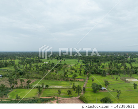 Aerial view of lush green rice fields and mixed farmland during rainy season, rural agricultural landscape with ponds, trees and country roads. Sustainable food production and land use. Food security. 142390631
