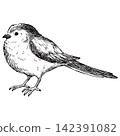 A cute, retro-style hand-drawn illustration of a long-tailed tit (line art only). 142391082