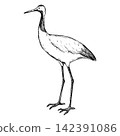 A cute, retro-style hand-drawn illustration of a crane (line art only) 142391086