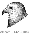 A cute, retro-style hand-drawn illustration of an eagle (line art only) 142391087
