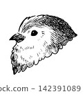 A cute, retro-style hand-drawn illustration of a long-tailed tit's head (line art only) 142391089