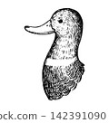 A retro and cute hand-drawn illustration of a mallard duck's head (line art only) 142391090