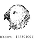 A retro and cute hand-drawn illustration of a parakeet's head (line art only) 142391091