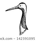 A cute, retro-style hand-drawn illustration of a crane's head (line art only) 142391095