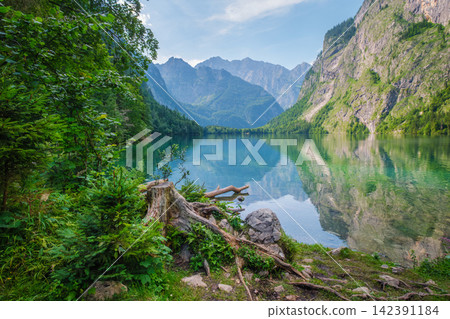 Obersee mountain lake Alps Bavaria Germany with forest shore Obersee mountain lake Alps Bavaria Germany with forest shore 142391184