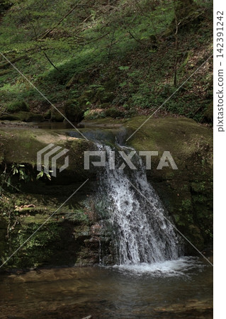 A small waterfall flowing through a moss-covered forest near Trier. A small waterfall flowing through a moss-covered forest near Trier. 142391242