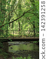 Green forests and bridges over streams near Aachen 142391258