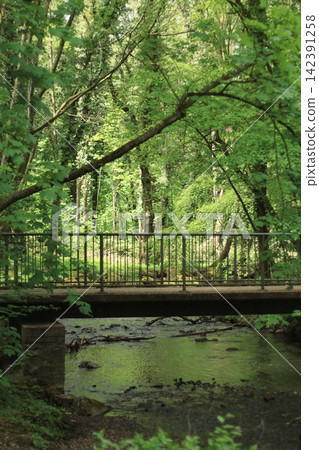 Green forests and bridges over streams near Aachen Green forests and bridges over streams near Aachen 142391258