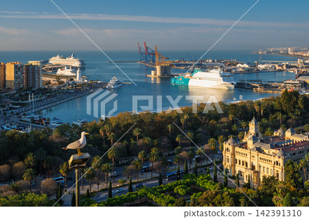 Seagull overlooking the Port of Malaga and City Hall at sunrise Seagull overlooking the Port of Malaga and City Hall at sunrise 142391310