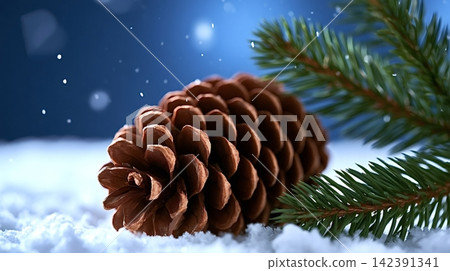 Pine cone lying in snow with evergreen branch Pine cone lying in snow with evergreen branch 142391341