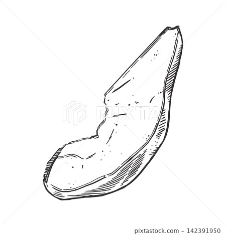 A slice of pear, drawn by hand with ink. A vector illustration of a piece of juicy fruit. A vector illustration for a menu, cookbook, label and packaging, design. Vector illustration. 142391950