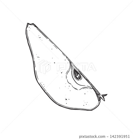 A slice of pear with seeds, drawn by hand in ink in vector format. Vector illustration of fresh garden fruits for healthy food design, for labels and menus, product packaging. Printing on fabric. A slice of pear with seeds, drawn by hand in ink in vector format. Vector illustration of fresh garden fruits for healthy food design, for labels and menus, product packaging. Printing on fabric. 142391951