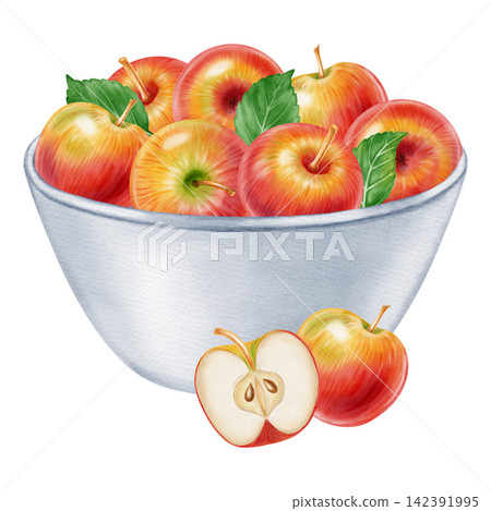 Watercolor illustration of a ceramic bowl filled with ripe red yellow apples, leaves isolated on white background. Perfect for product logo, market posters, food packaging, textile patterns Watercolor illustration of a ceramic bowl filled with ripe red yellow apples, leaves isolated on white background. Perfect for product logo, market posters, food packaging, textile patterns 142391995
