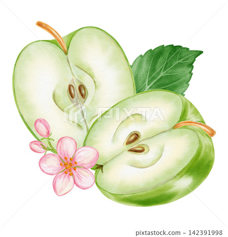 Watercolor illustration of a whole green apple, half slice core, pink blossom flower with leaf isolated on white background. Perfect for product logo, market posters, food packaging, textile patterns Watercolor illustration of a whole green apple, half slice core, pink blossom flower with leaf isolated on white background. Perfect for product logo, market posters, food packaging, textile patterns 142391998