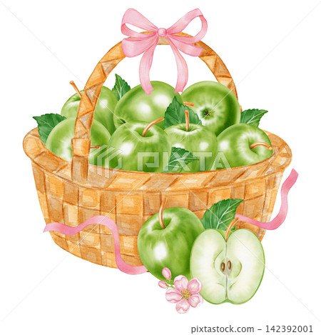 Watercolor illustration of a wicker basket filled with green apples, ribbon bow, blossom flowers isolated on white background. Perfect for product logo, market posters, food packaging, textile pattern Watercolor illustration of a wicker basket filled with green apples, ribbon bow, blossom flowers isolated on white background. Perfect for product logo, market posters, food packaging, textile pattern 142392001